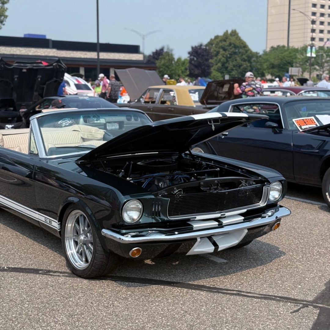 Imagem do WhatsApp de 2025-11-25 à(s) 15.00.26_05955641